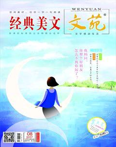 文苑·经典美文2017年8期