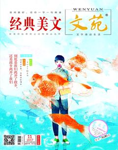 文苑·经典美文2017年11期