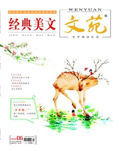 文苑·经典美文2018年6期
