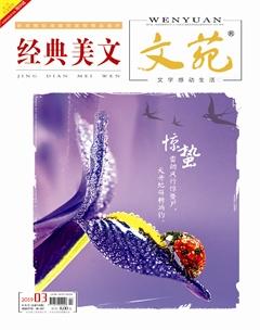 文苑·经典美文2019年3期