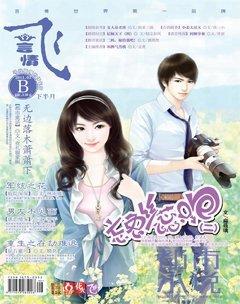 飞言情B2011年3期