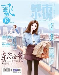 飞言情B2013年4期
