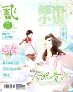 飞言情B2013年5期