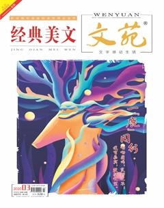 文苑·经典美文2020年3期
