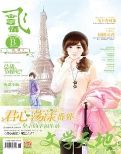 飞言情B2014年3期