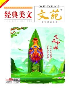 文苑·经典美文2020年6期