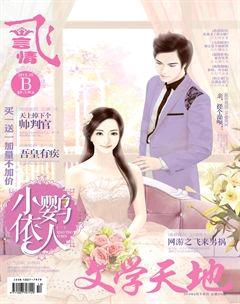 飞言情B2014年5期