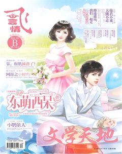 飞言情B2014年10期