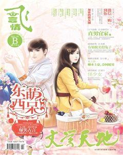 飞言情B2015年1期