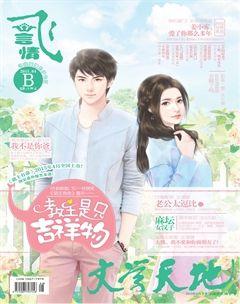 飞言情B2015年4期