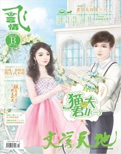 飞言情B2015年7期