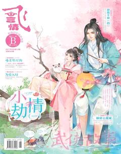 飞言情B2017年3期