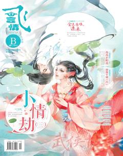飞言情B2017年5期