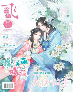 飞言情B2017年6期