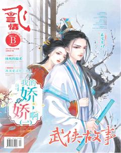 飞言情B2017年12期