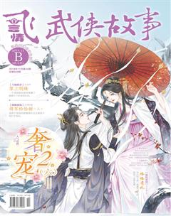 飞言情B2018年11期