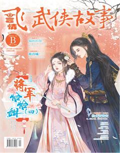 飞言情B2018年12期