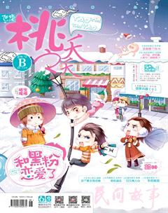 桃之夭夭B2016年12期