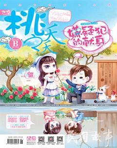 桃之夭夭B2017年4期