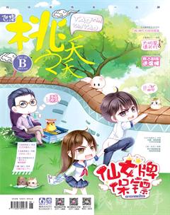 桃之夭夭B2017年6期