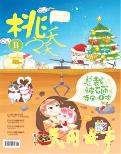 桃之夭夭B2017年12期