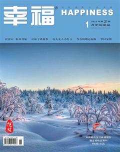 幸福·悦读2018年1期