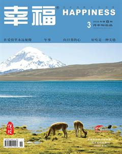 幸福·悦读2018年3期
