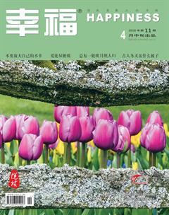 幸福·悦读2018年4期