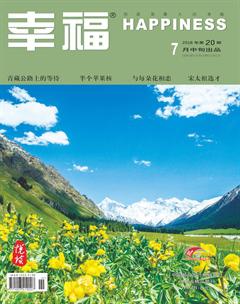 幸福·悦读2018年7期