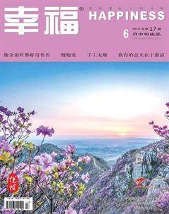 幸福·悦读2019年6期