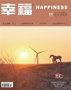 幸福·悦读2019年11期