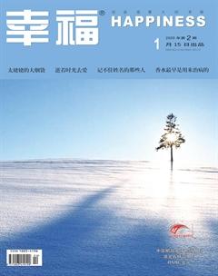 幸福·悦读2020年1期