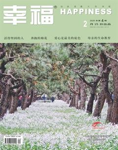 幸福·悦读2020年2期