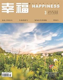 幸福·悦读2020年3期