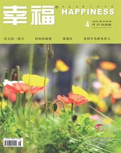 幸福·悦读2020年4期