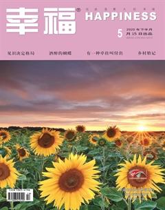 幸福·悦读2020年5期