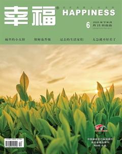 幸福·悦读2020年6期