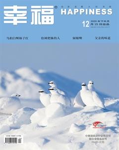 幸福·悦读2020年12期