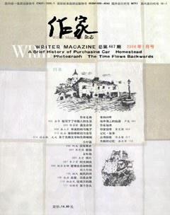 作家2008年1期