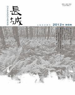 长城2012年6期