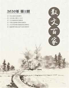散文百家·下旬刊2020年1期