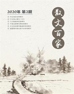散文百家·下旬刊2020年2期