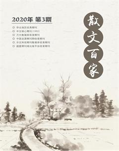 散文百家·下旬刊2020年3期