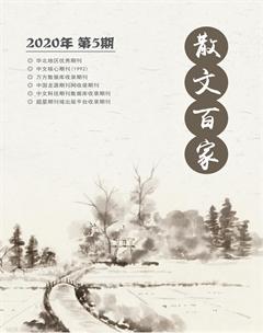 散文百家·下旬刊2020年5期