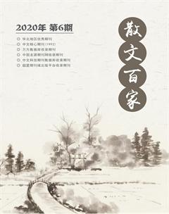 散文百家·下旬刊2020年6期