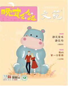 文苑2017年5期