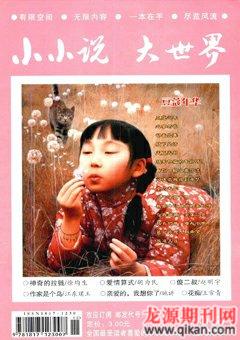 小小说大世界2009年2期