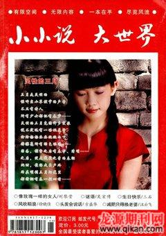 小小说大世界2009年3期