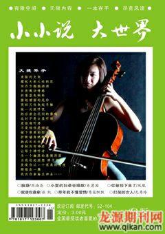 小小说大世界2009年5期