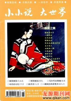 小小说大世界2009年6期